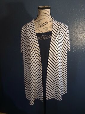 Liz McCoy Womens Navy and White Chevron Mock Layered Top L
